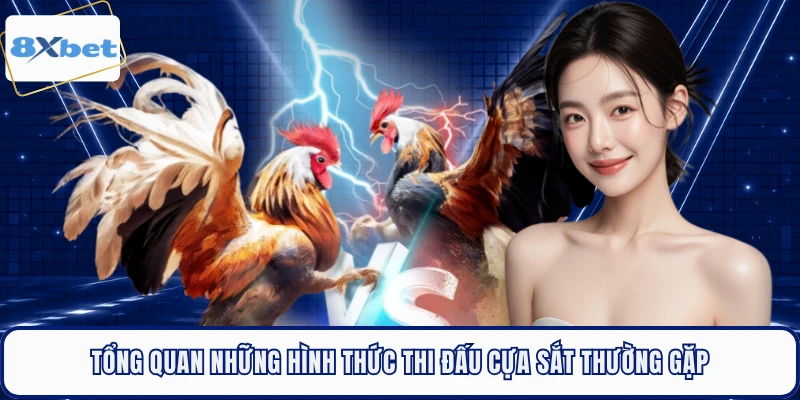 Tổng quan những hình thức thi đấu cựa sắt thường gặp 
